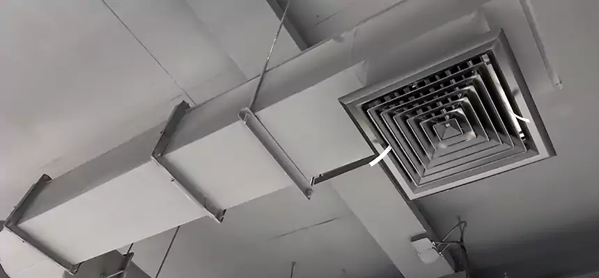 Our Pest Removal From Ducts Services in Rancho Cordova, CA