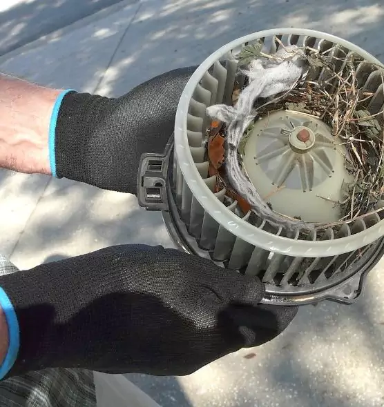 About Air Duct Rat Removal in Rancho Cordova, CA