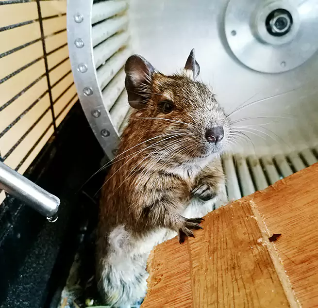 Why Homeowners & Businesses Trust Us Rancho Cordova, CA