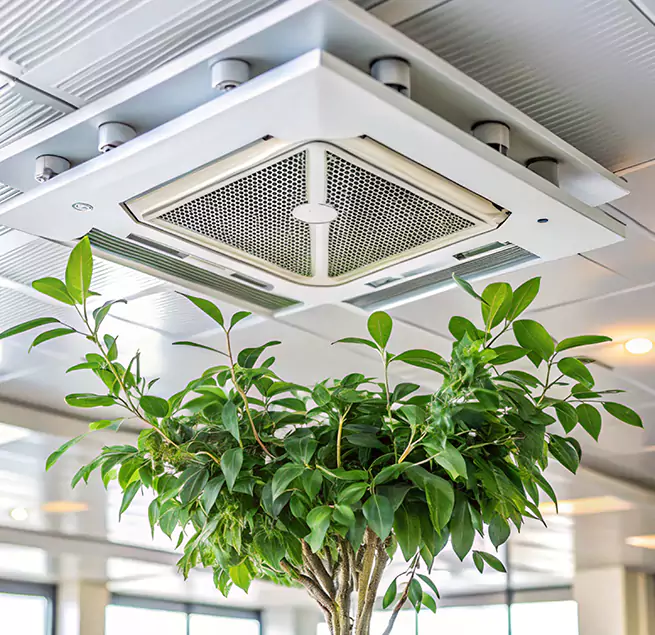 Why Homeowners & Businesses Trust Us in Rancho Cordova, CA?